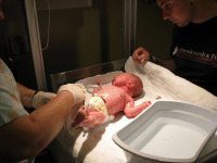 Bruce getting his first sponge bath while