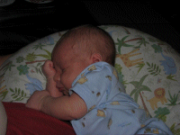 Isn't he just precious?