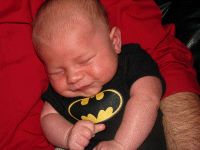 I'm Batman!.. jr.